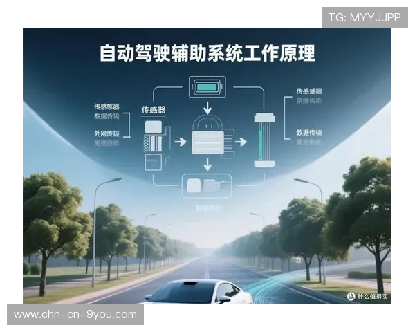 自动驾驶辅助系统：未来赛车的新宠，自动驾驶辅助有用吗